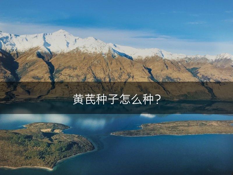 黄芪种子怎么种？(图1)
