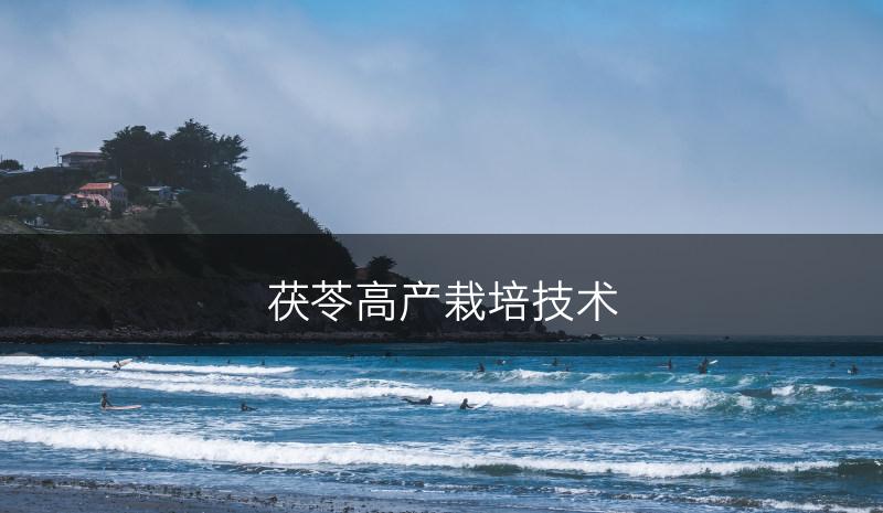 茯苓高产栽培技术(图1)