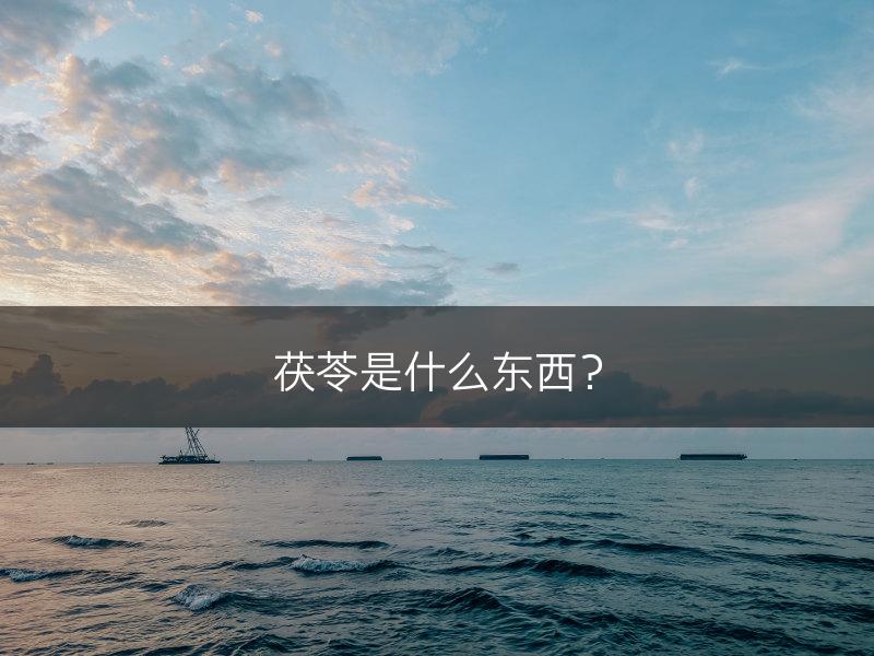茯苓是什么东西？(图1)