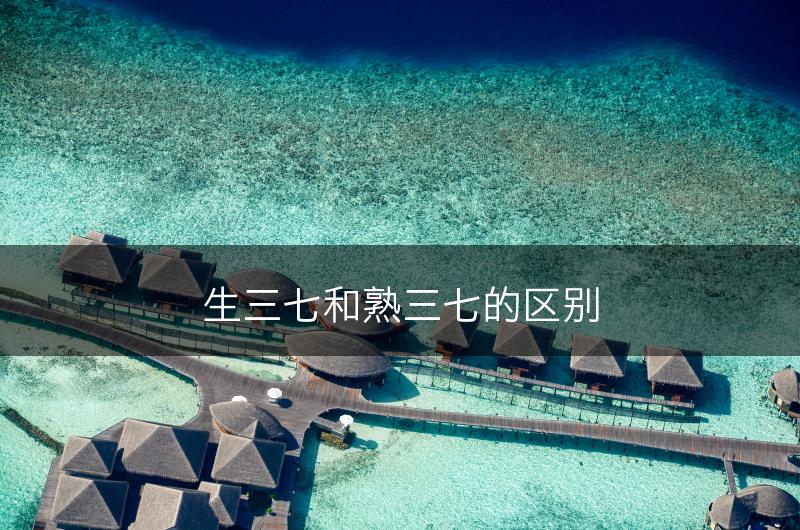 生三七和熟三七的区别(图1)