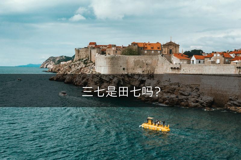 三七是田七吗？(图1)