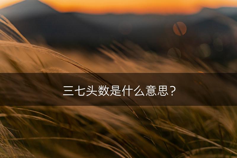 三七头数是什么意思？(图1)