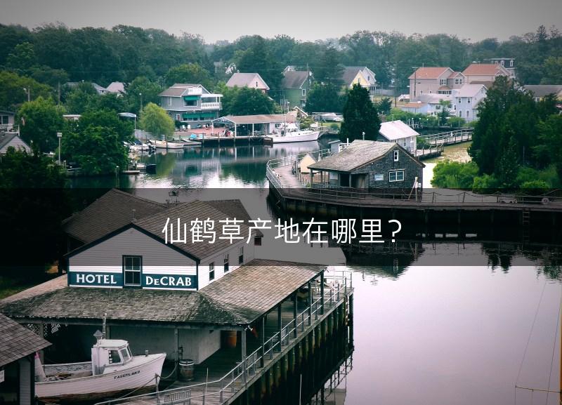 仙鹤草产地在哪里？(图1)
