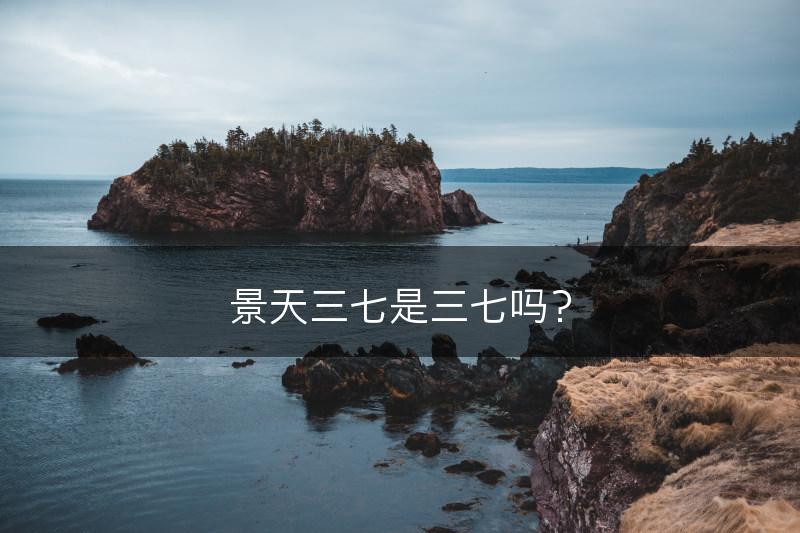 景天三七是三七吗？(图1)