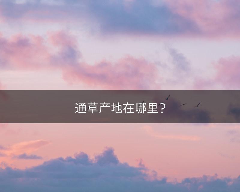通草产地在哪里？(图1)