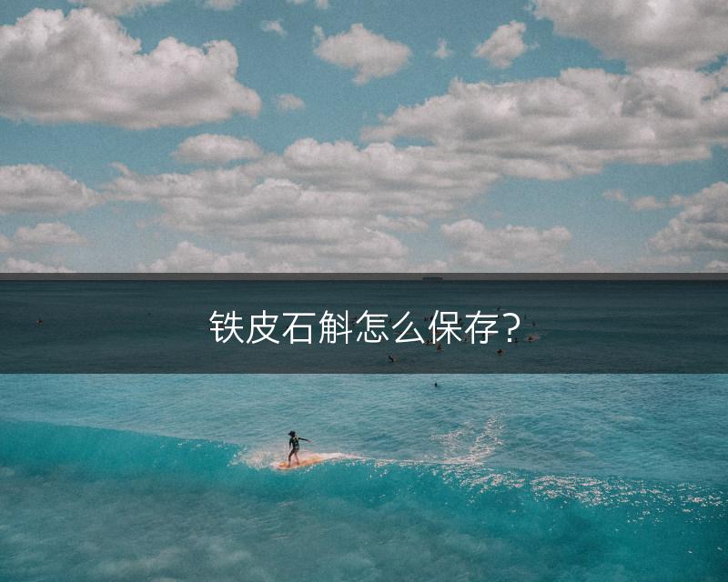 铁皮石斛怎么保存？(图1)