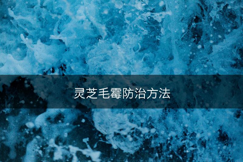 灵芝毛霉防治方法(图1)