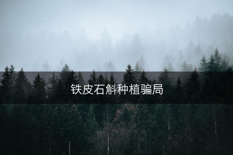 铁皮石斛种植骗局(图1)