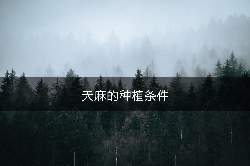 天麻的种植条件(图1)