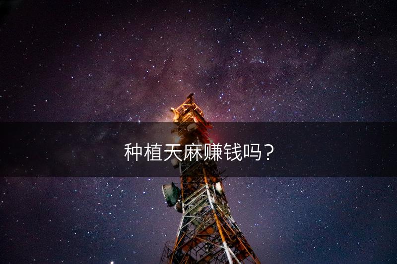 种植天麻赚钱吗？(图1)