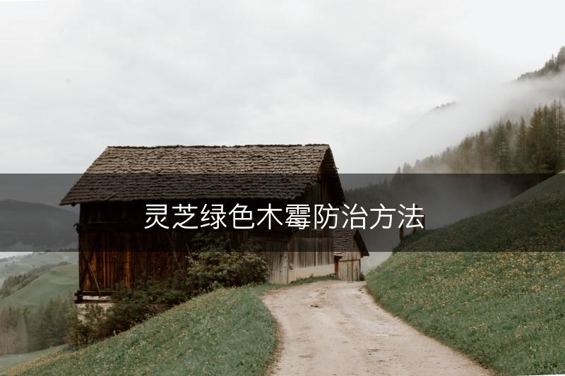 灵芝绿色木霉防治方法(图1)