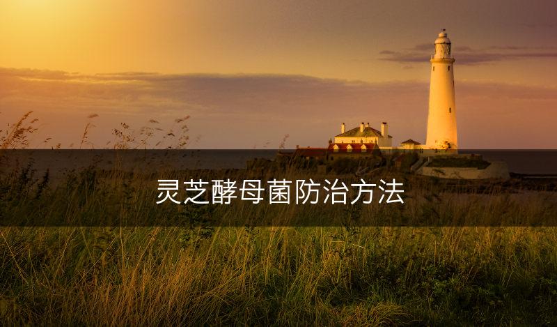 灵芝酵母菌防治方法(图1)