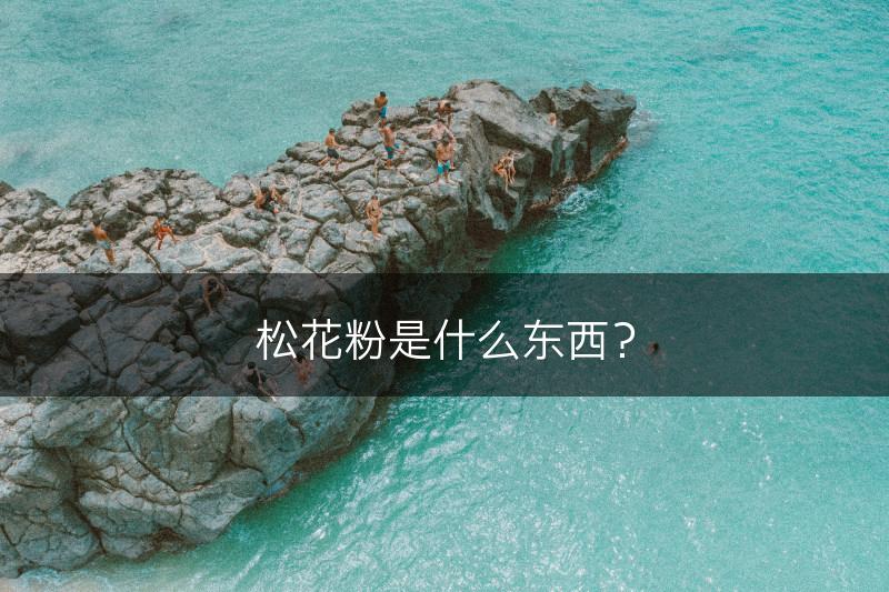 松花粉是什么东西？(图1)