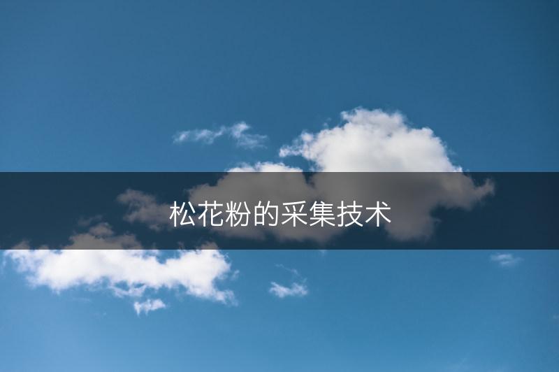 松花粉的采集技术(图1)