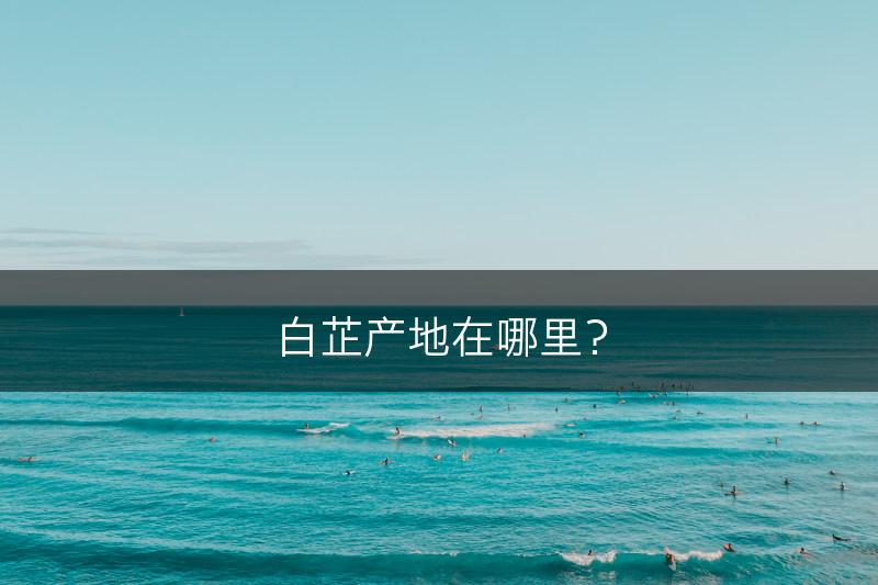 白芷产地在哪里？(图1)