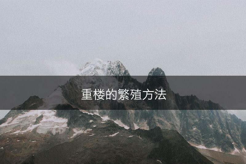 重楼的繁殖方法(图1)
