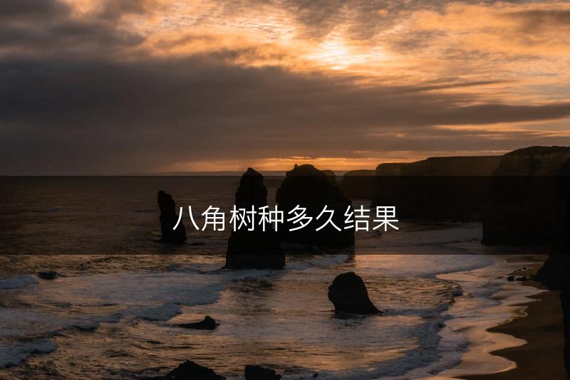 八角树种多久结果(图1)