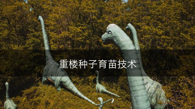 重楼种子育苗技术(图1)