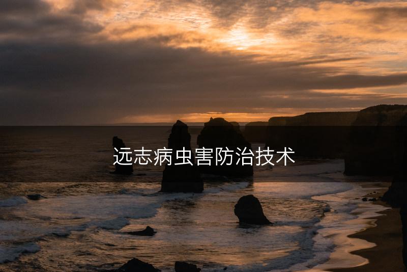 远志病虫害防治技术(图1)