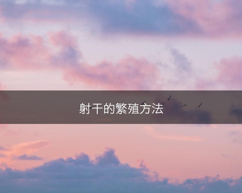 射干的繁殖方法(图1)
