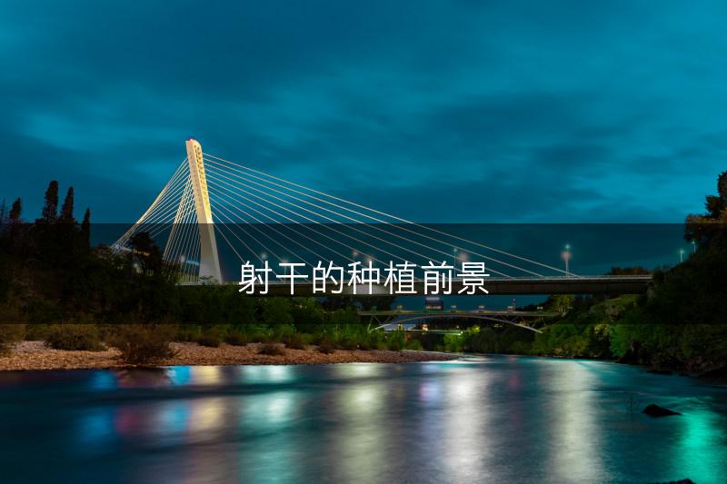 射干的种植前景(图1)