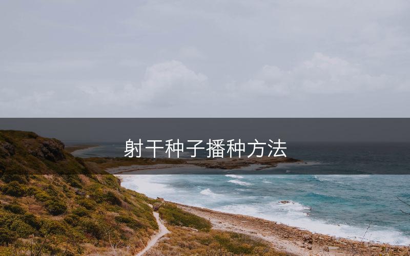 射干种子播种方法(图1)
