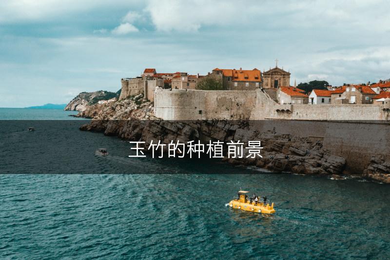 玉竹的种植前景(图1)