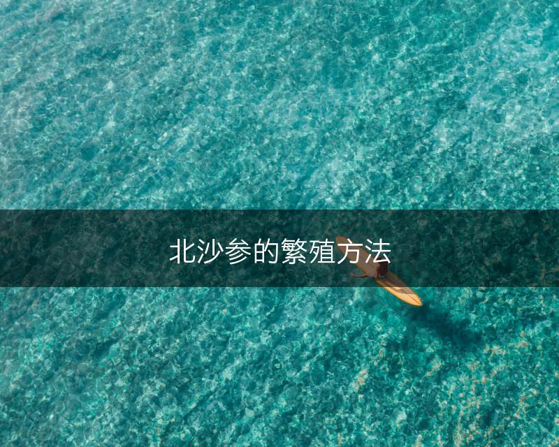 北沙参的繁殖方法(图1)