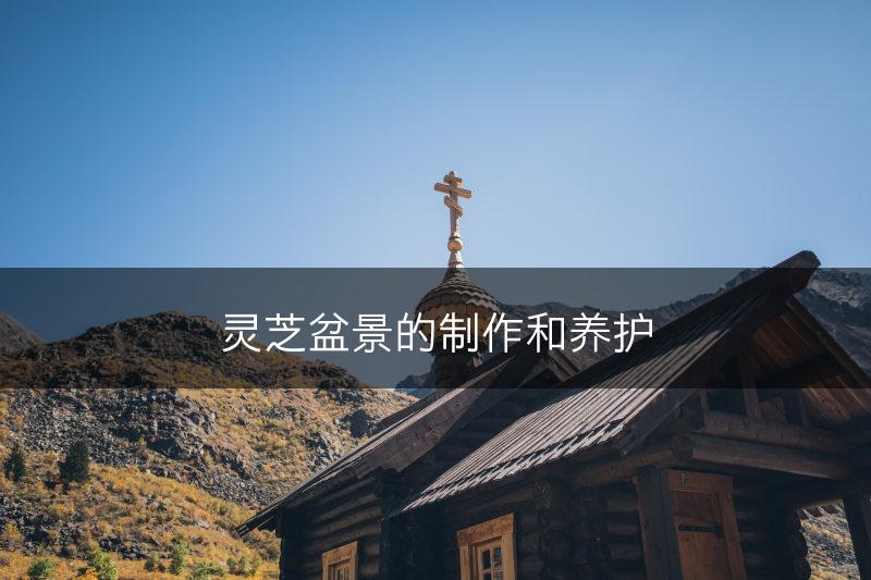 灵芝盆景的制作和养护(图1)