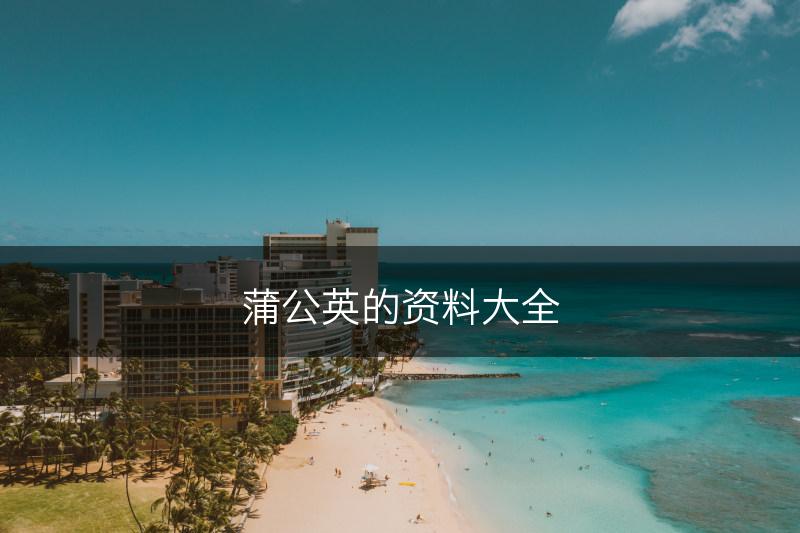 蒲公英的资料大全(图1)