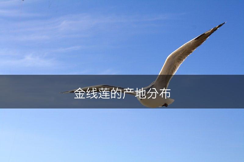 金线莲的产地分布(图1)
