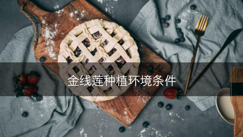 金线莲种植环境条件(图1)