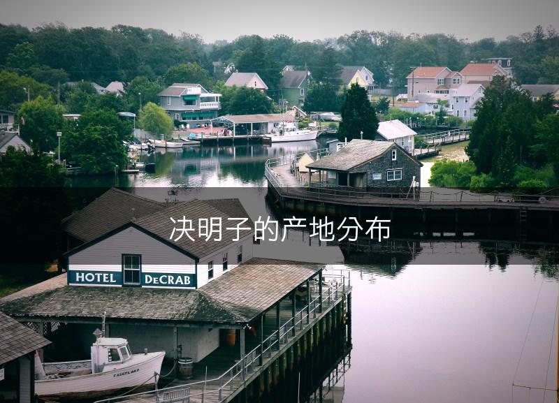 决明子的产地分布(图1)