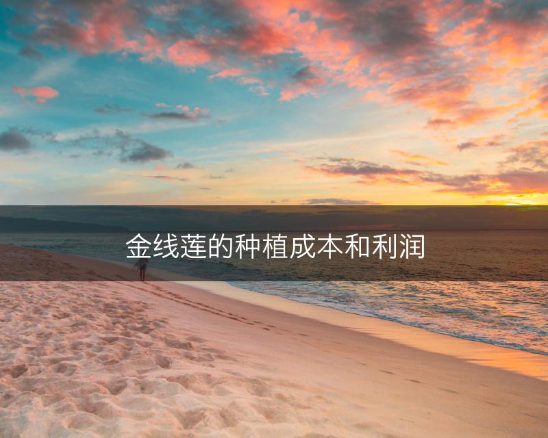 金线莲的种植成本和利润(图1)