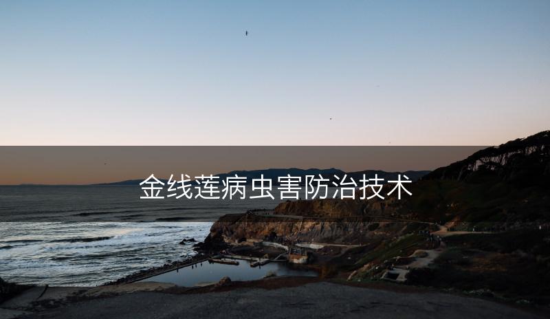 金线莲病虫害防治技术(图1)