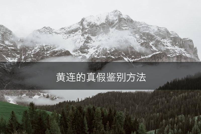 黄连的真假鉴别方法(图1)