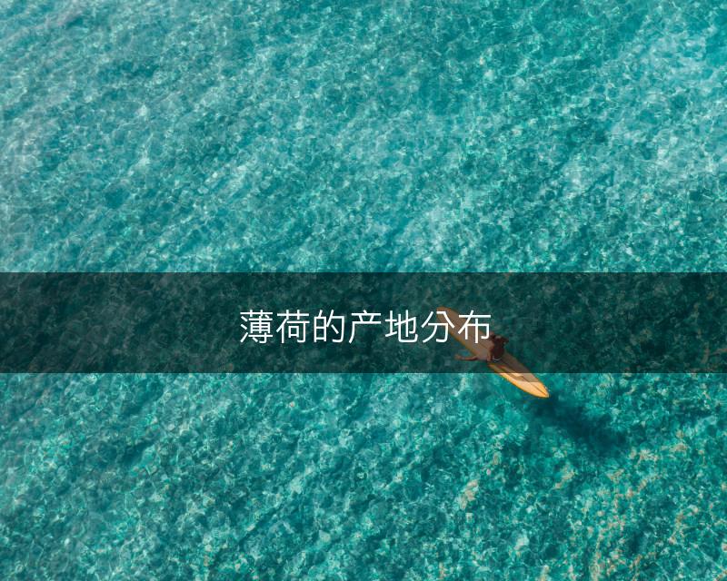 薄荷的产地分布(图1)