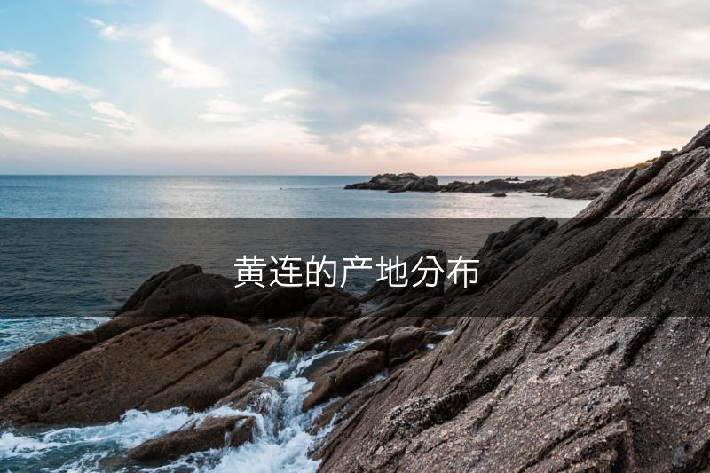 黄连的产地分布(图1)