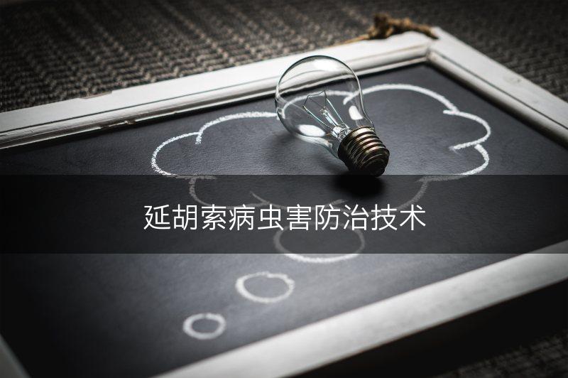 延胡索病虫害防治技术(图1)