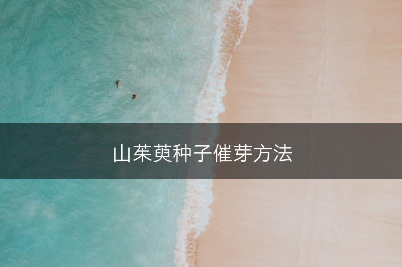 山茱萸种子催芽方法(图1)