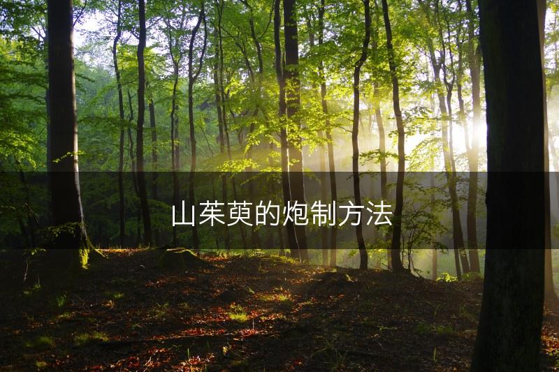 山茱萸的炮制方法(图1)