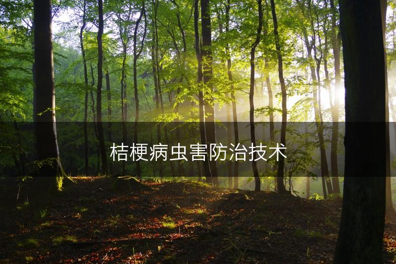 桔梗病虫害防治技术(图1)