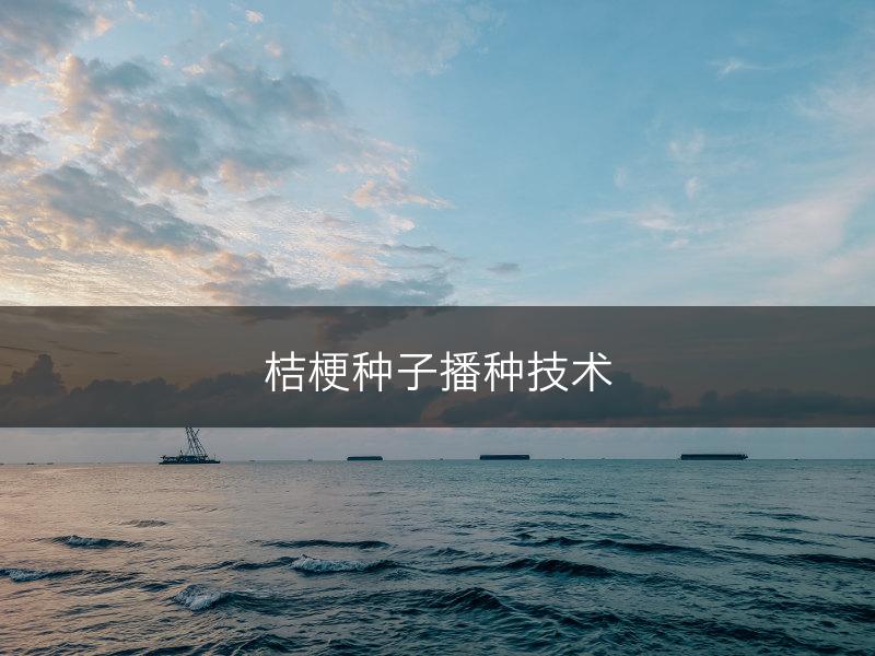 桔梗种子播种技术(图1)