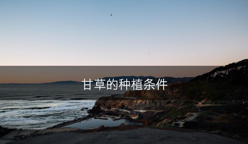 甘草的种植条件(图1)