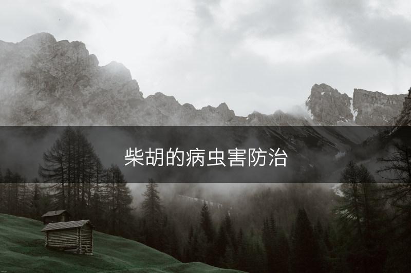 柴胡的病虫害防治(图1)