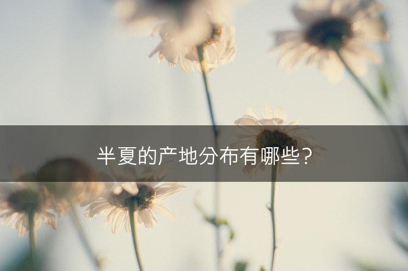 半夏的产地分布有哪些？(图1)