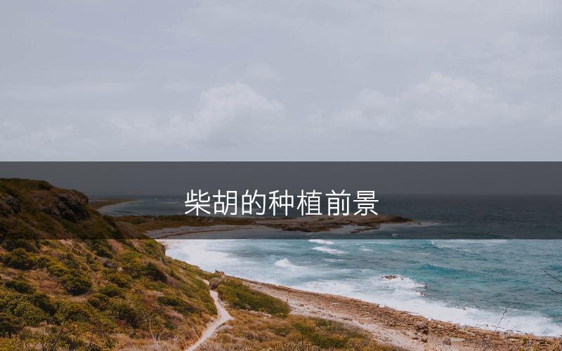 柴胡的种植前景(图1)