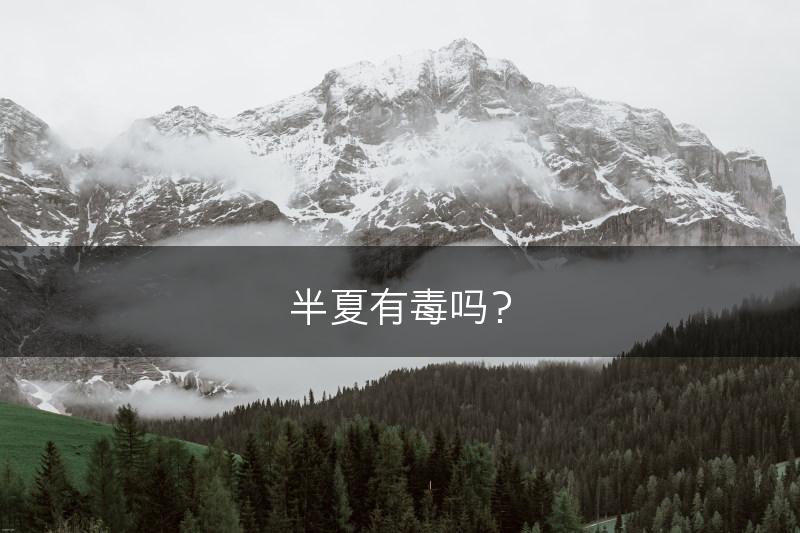 半夏有毒吗？(图1)