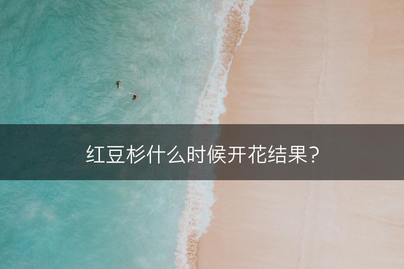 红豆杉什么时候开花结果？(图1)