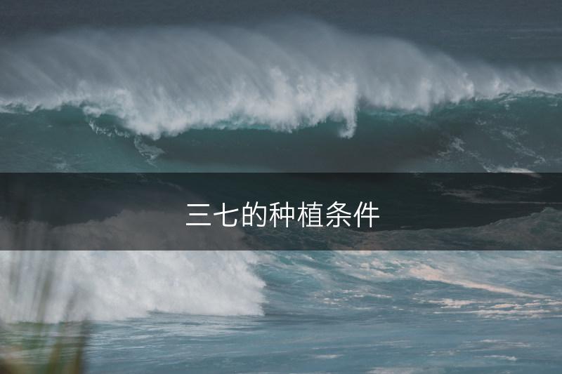 三七的种植条件(图1)